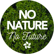 Pin No Nature No Future